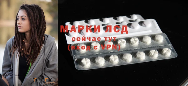 ГАЛЛЮЦИНОГЕННЫЕ ГРИБЫ Елизово