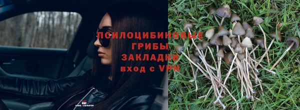 не бодяженный Елабуга