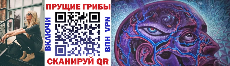 Псилоцибиновые грибы Cubensis  купить наркотик  Бор 